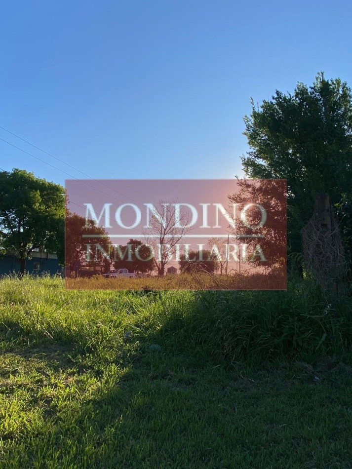 VENDO LOTE ESQUINA W. ESCALANTE 