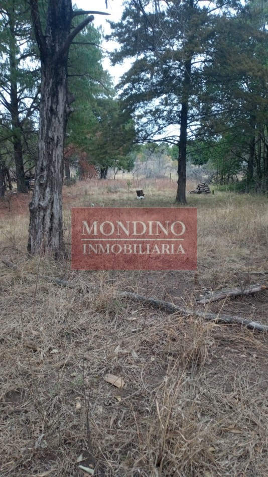 Oportunidad Lote en las sierras de Cordoba 