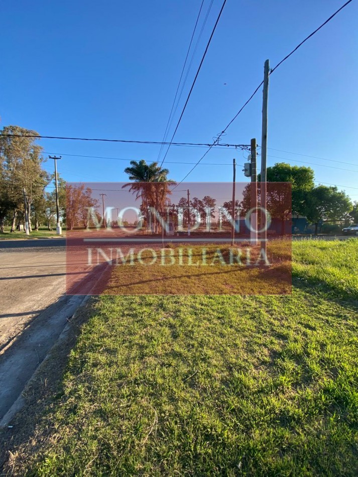 VENDO LOTE ESQUINA W. ESCALANTE 